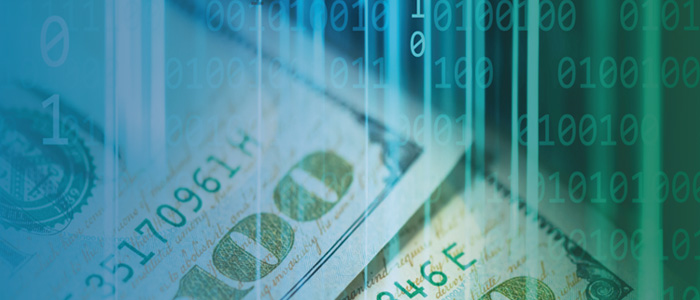 Payments Fraud Survey Art