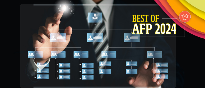 Best of AFP 2024 Webinar Series Art