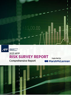 Risk Survey Cover