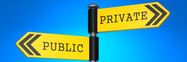 Go Public or Stay Private